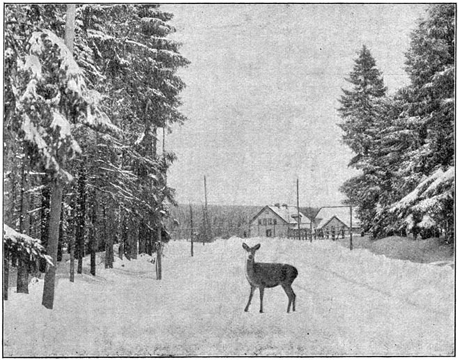 Het Forsthaus Oderbrück.