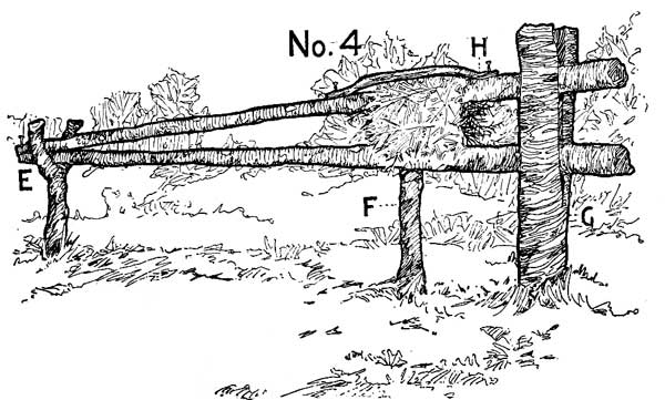 HIGH BUILT MARTEN DEADFALL.