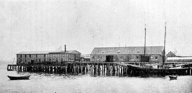 Fig. 4.—D. C. Stull's Watch Oil Factory, Provincetown, Mass.