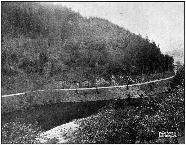 ALONG THE UMPQUA RIVER NORTH OF MYRTLE CREEK IN DOUGLAS COUNTY. GRADED IN 1917 AND 1918