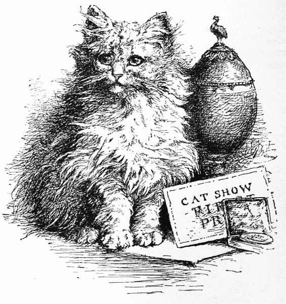 MISS MARY GRESHAM'S PERSIAN KITTEN, "LAMBKIN NO. 2."