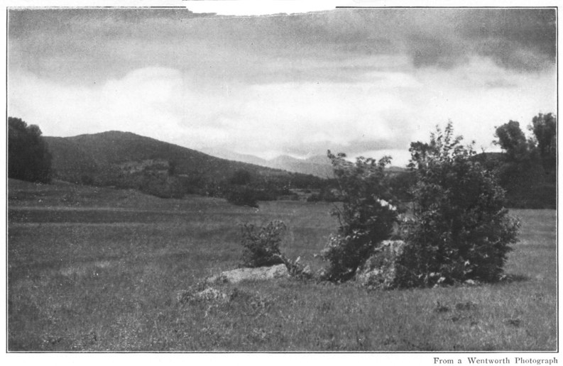 THE WOODS JUT OUT IN ISLANDS ROUND AN OUTCROPPING LEDGE