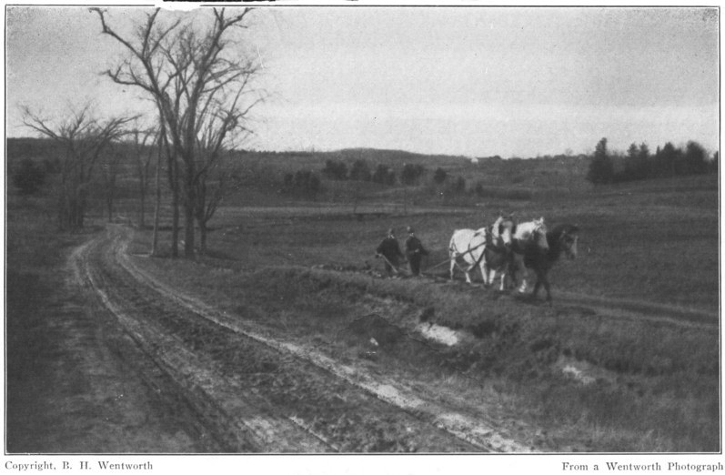 PLOUGHING MARY’S FIELD