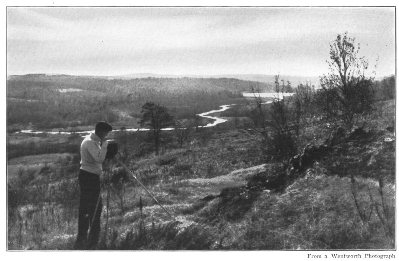 THE TRANQUIL WOODS COVER THE RISE AND FALL OF THE RIDGES