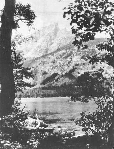 TEEWINOT ACROSS JENNY LAKE  Crandall photo.