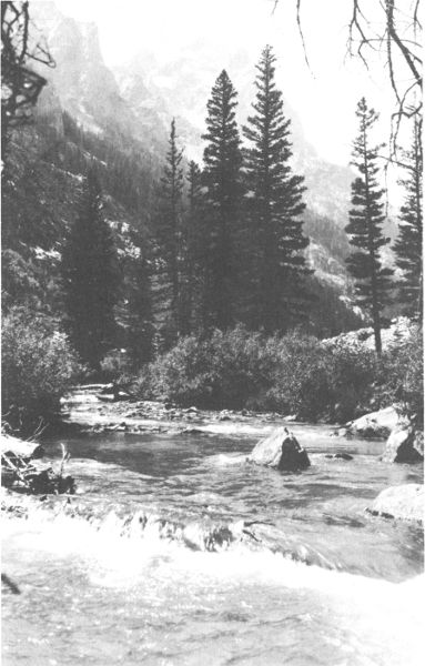 THE ICY WATERS OF CASCADE CANYON  Copyright, Crandall.