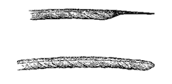 Fig. 44. Primary wing-feather of a Humming-bird, the Selasphorus platycercus (from a sketch by Mr. Salvin). Upper figure, that of male; lower figure, corresponding feather of female.