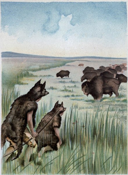 A PAWNEE BUFFALO HUNT.