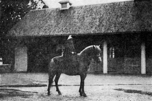 LONGMYND ECLIPSE ON A RAINY DAY   Ridden by a young lady of eight