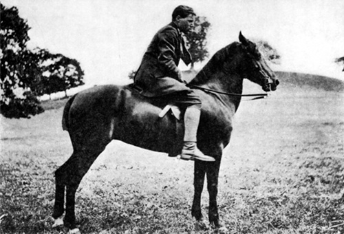 A WELSH COB