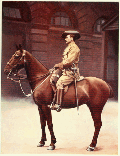 SERGEANT-MAJOR IMPERIAL LIGHT HORSE.