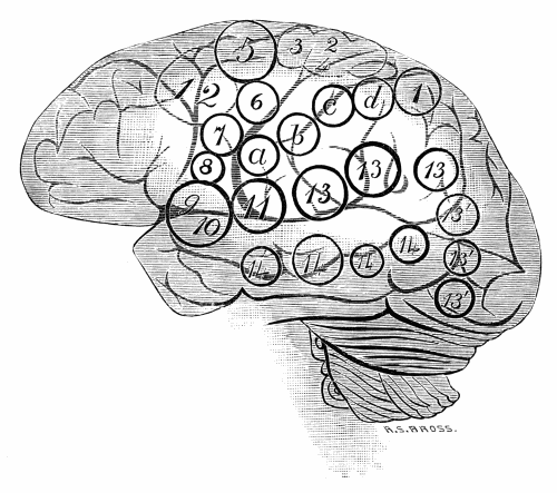 Human Brain, with centres of electric excitation.