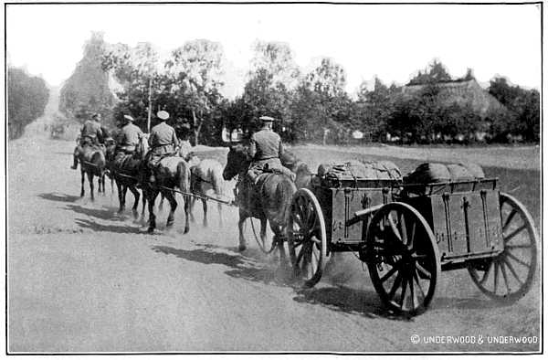 RUSSIANS HURRYING AMMUNITION TO OPERATING LINES