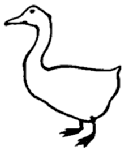 A goose