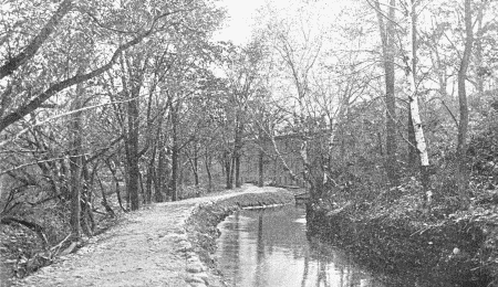 A MILL IN THE FOREST.