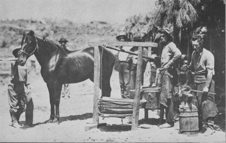 "The muscles of his brawny arms are strong as ironbands...." Union Army blacksmiths had to shoe nearly 500 new horses and mules daily.