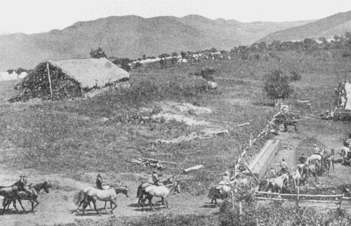 "CAMP ESPERANCA." GUAYAMA IN THE DISTANCE.