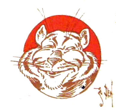 A tiger