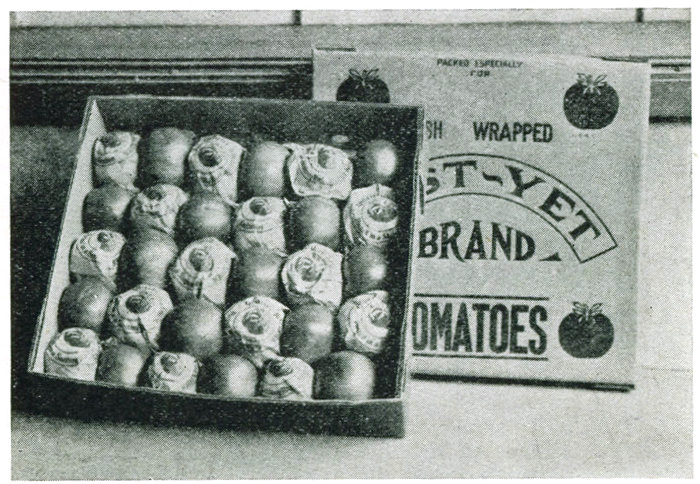 Figure 26.—Repacked tomatoes. Southern tomatoes go to wholesale houses that specialize in ripening and repacking. Many kinds of packages are used. The flat 10-pound box is one of the popular packs especially in the Boston area.