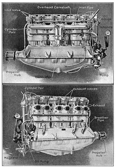 Fig. 237