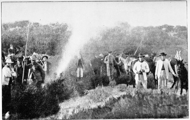 Plate XLI.  BREAKFAST-TIME—DOÑANA.  Page 352.