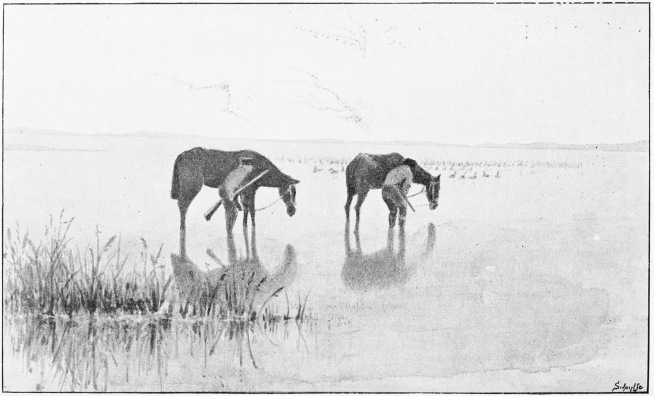 Plate XLII.  SPANISH WILDFOWLERS WITH CABRESTO PONIES.  Page 365.