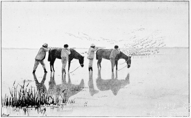 Plate XLVI.  WILDFOWLING WITH CABRESTOS. No. 2.—THE SHOT.  Page 374.