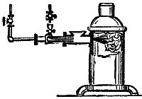 THE FORSTER-FIRMIN GOLD AND SILVER AMALGAMATING COMP'Y