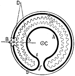 Fig. 209