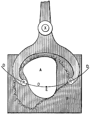 Fig. 239