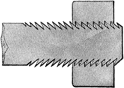 Fig. 255