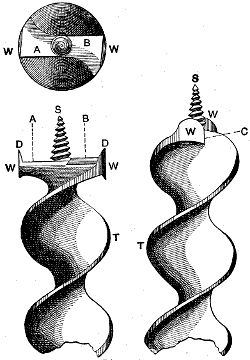 Fig. 1765