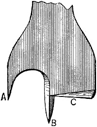 Fig. 1772