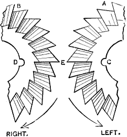 Fig. 1922