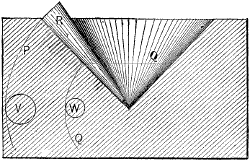 Fig. 2026 bottom