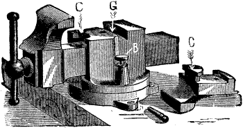 Fig. 2087