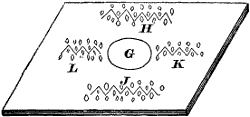 Fig. 2123