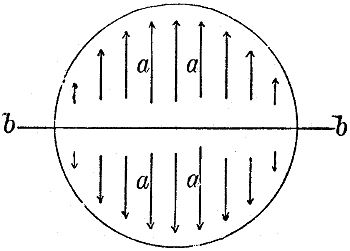 Fig. 3240