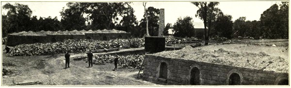 COKE OVENS, IPSWICH DISTRICT