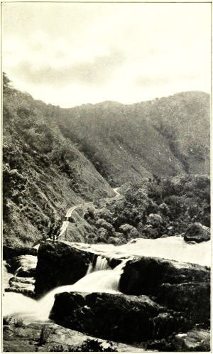 ABOVE STONY CREEK FALLS, CAIRNS RAILWAY