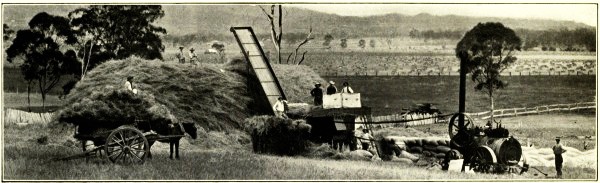 THRESHING WHEAT, EMU VALE, KILLARNEY RAILWAY