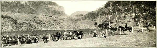 CAMBANORA GAP, HEAD OF CONDAMINE, KILLARNEY