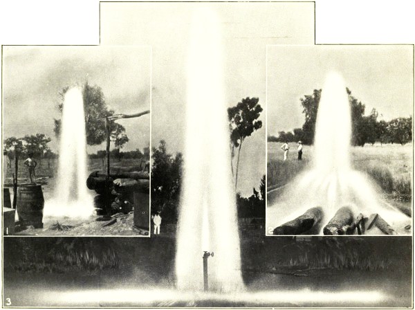 FLOWING ARTESIAN WELLS, WESTERN QUEENSLAND