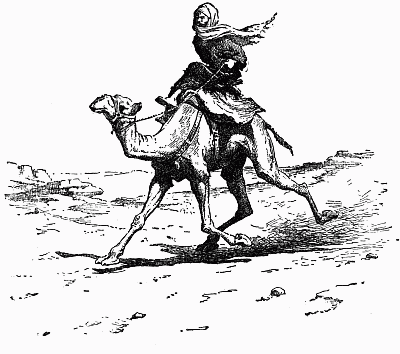 Riding a camel