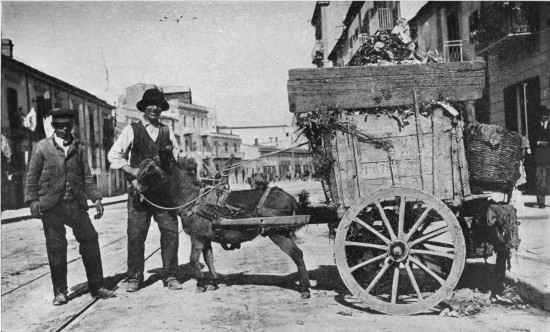 “The city’s street-cleaning department is not such a joke as it appears.”