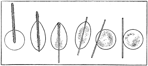 Chloroformtropfen