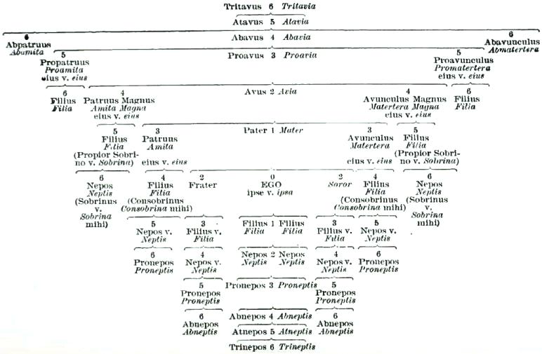 FIGURE 1. TABLE OF RELATIONSHIP