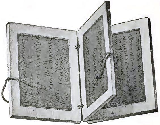 FIGURE 186. CODICILLI