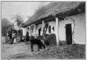 Photograph from Henry Ruschin VILLAGE SCENE IN HUNGARY These women and children struggled to keep food production close to normal, but failed.