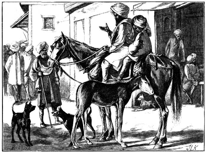 PUNJAB FARMER ON A BRANDED MARE